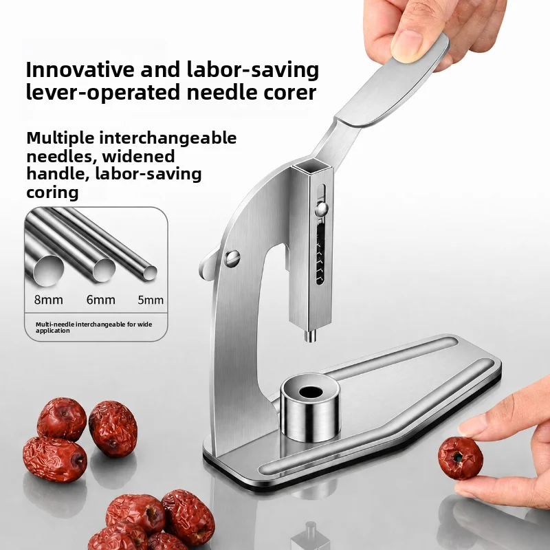 Stainless Steel Adjustable Interchangeable Needle Pitter Corer for Red Dates Longan Olive Cherry Fruit Seed Remover Tool