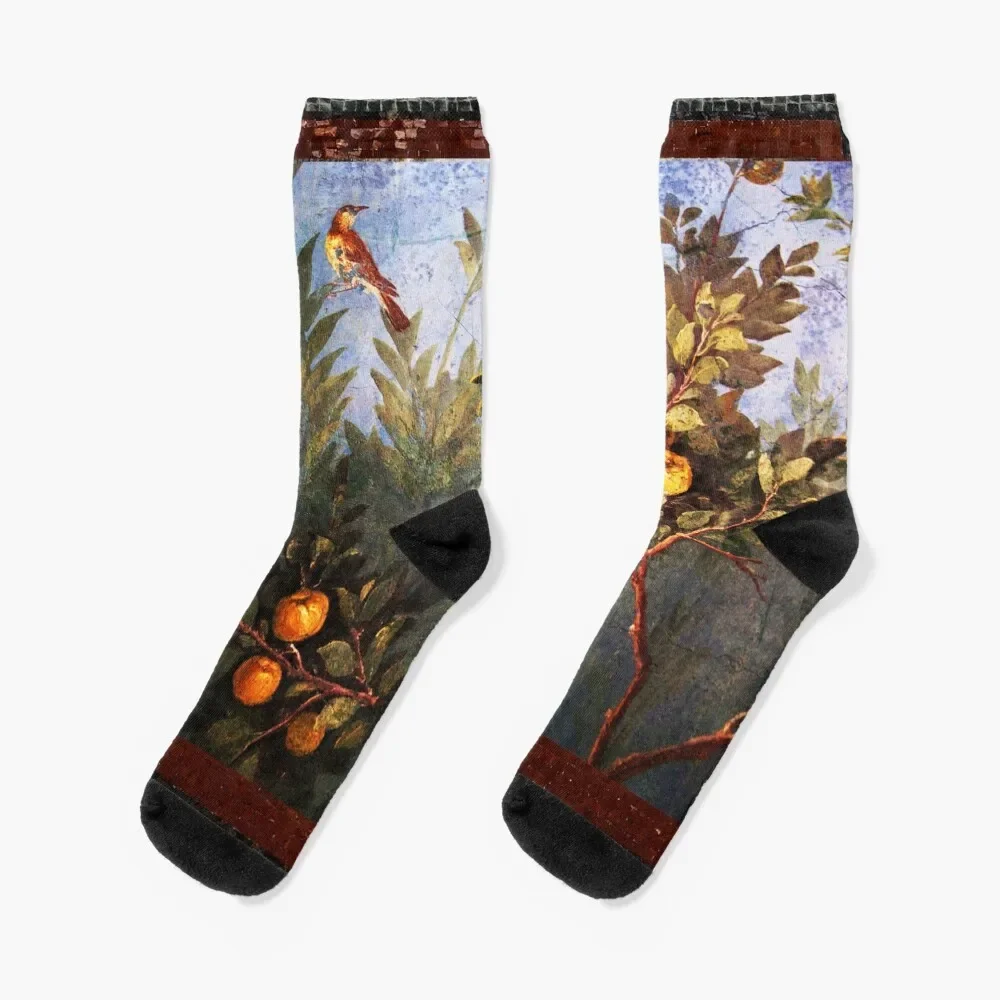 Calcetines sueltos de lujo para hombre y mujer, medias con pintura de pared romana antigua, flores, jardín, pájaros voladores, sobre árboles de madera, novedad