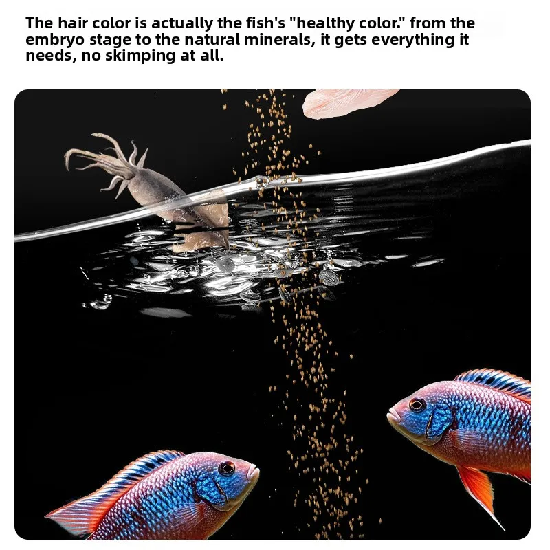 Yee Probiotic Guppy Food,Micro-Pellets with Beneficial Bacteria for All Tropical Fish,for Tetras,Mollies&Small Community Fish view 3