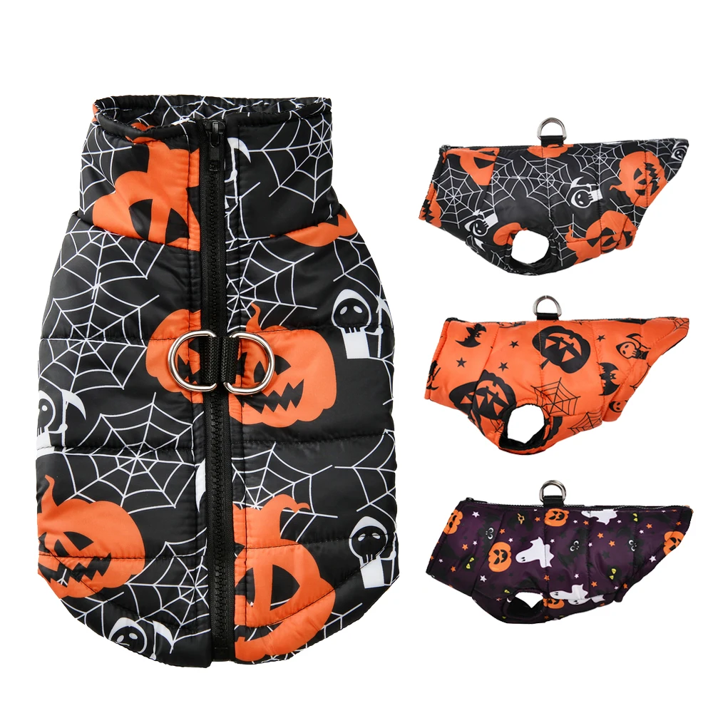 #81 Pet Apparels List of Top Picks