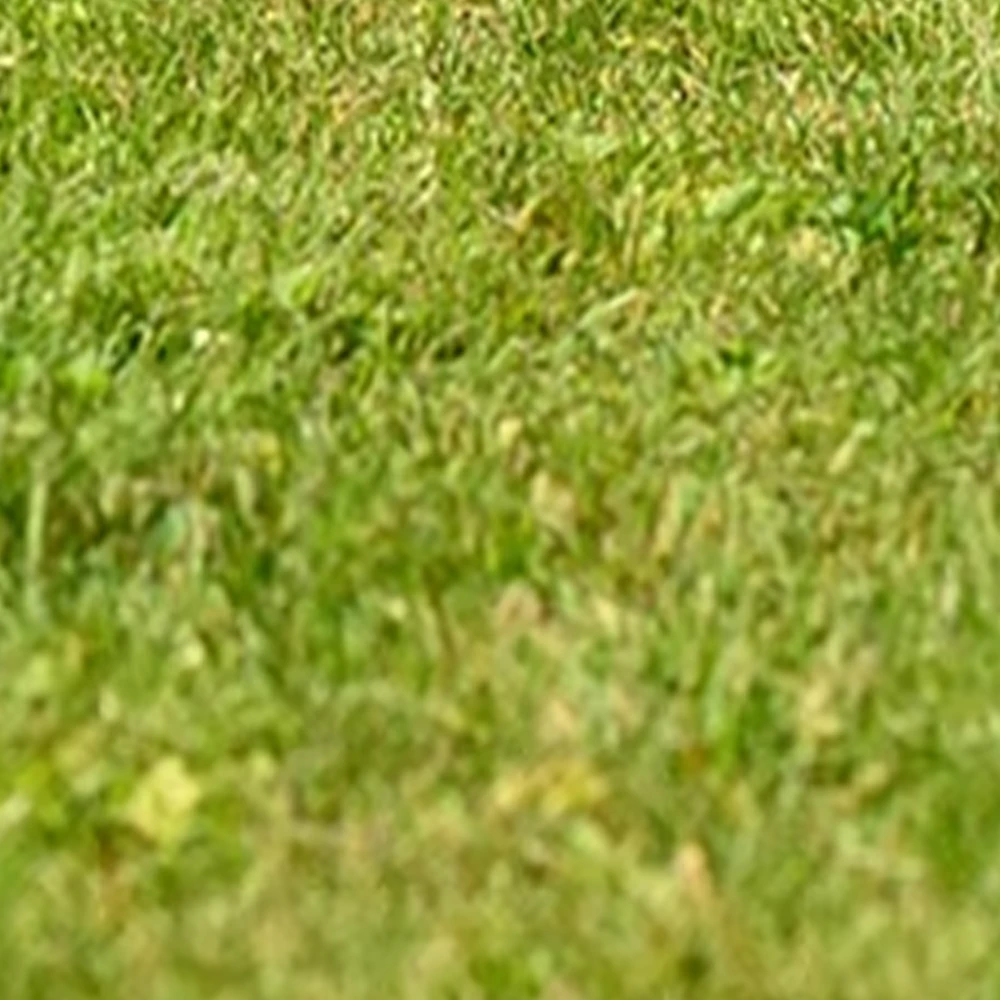 

Используется для дополнения дополнительных разницы в цене или стоимости доставки.