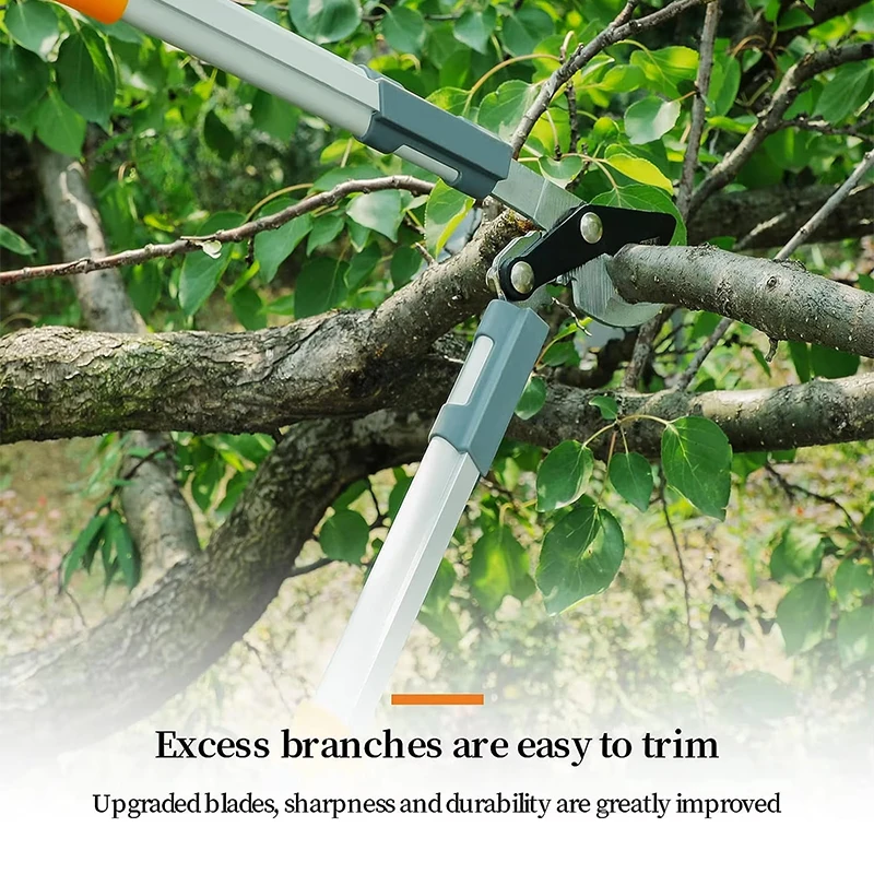 Thumbnail 2 - #63 Pruning Shears Sale