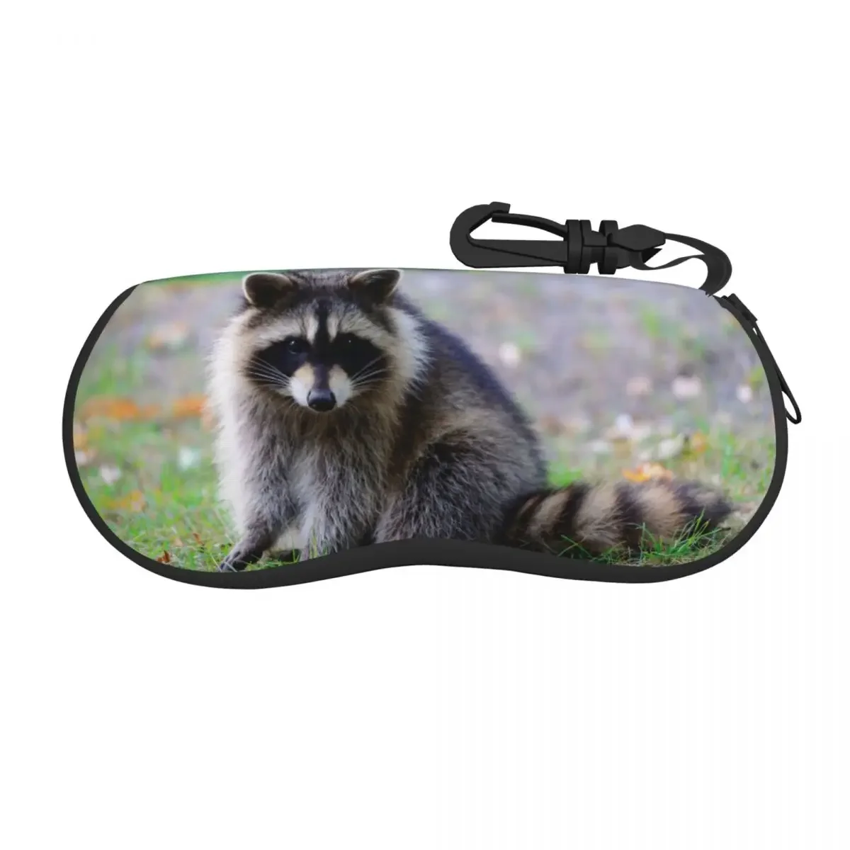 

Glasses Bag Protective Case Raccoon Women Men Sunglasses Box Reading Eyeglasses Accessories