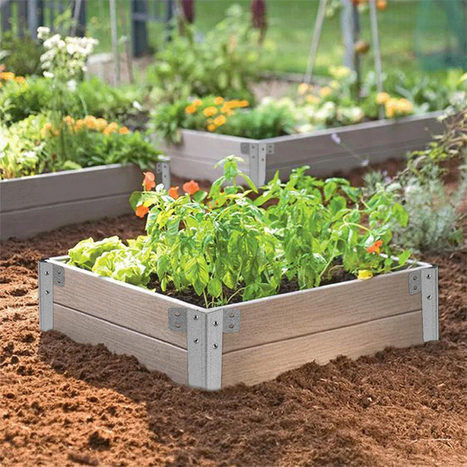 

Ground Spikes Garden Stake Rust-Free Pressure-Treated Cedar Posts for Temporary Garden Edging