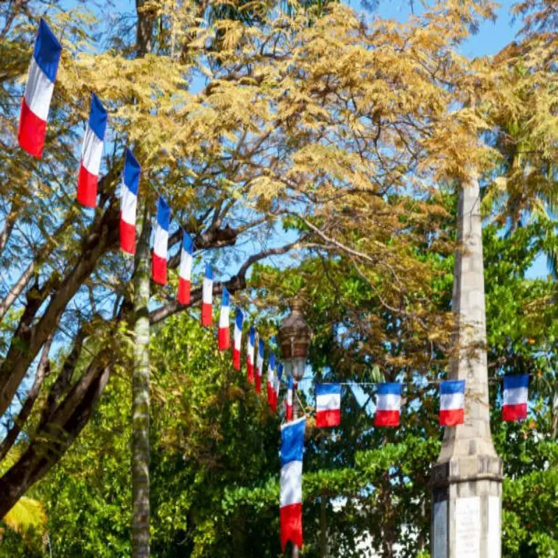 France bunting flags 14x21cm 20x30cm 24pcs/lot France String flags Pennant Banner Festival Party Holiday for decoration