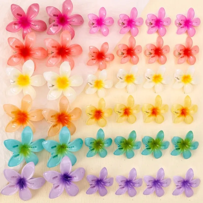 2024 koreanische Farbverlauf Blume Acryl Haar Clip für Frauen Mädchen Süße Haarnadeln Sommer Strand Hawaiian Headwear Haar Zubehör