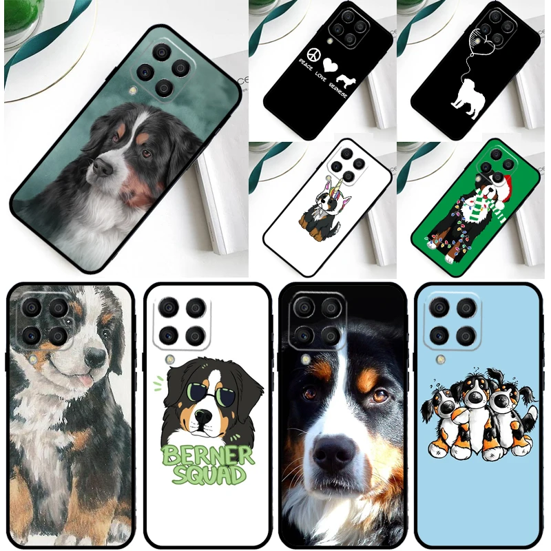 Funny Bernese Mount…