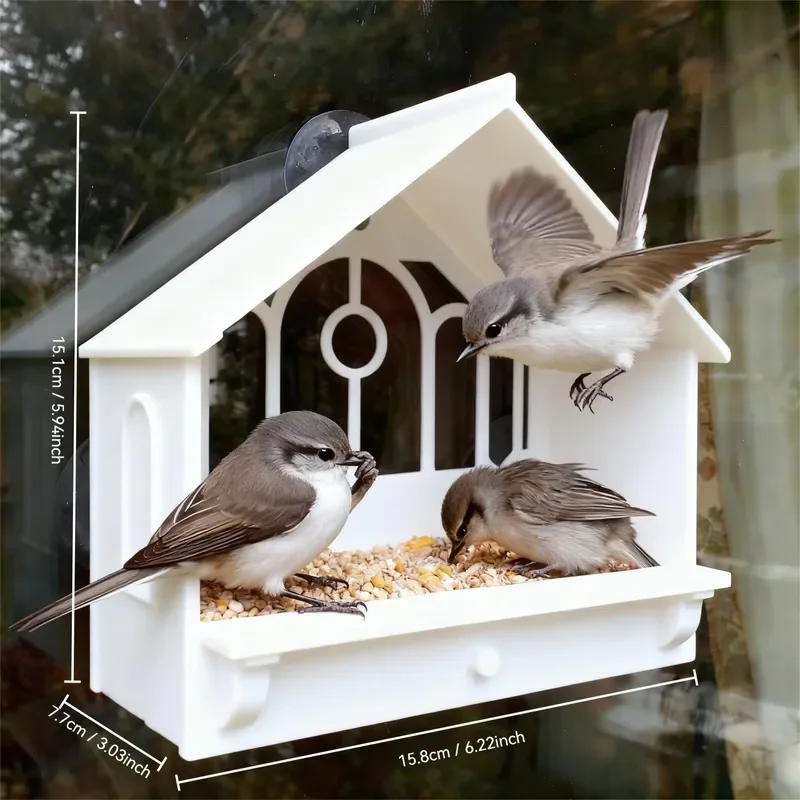 Practical Window Bird Feeder Paste Design European Style Customizable Colors Sizes Durable Plastic For Close Observation Of