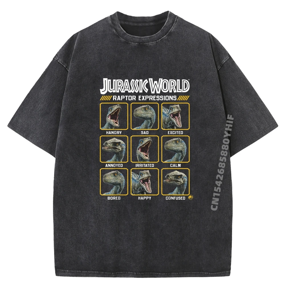 

Normal Jurassic World Two Blue Raptor Tees Family Streetwear Luxury Designer Graphic T Shirt Male Washed T-shirt Man