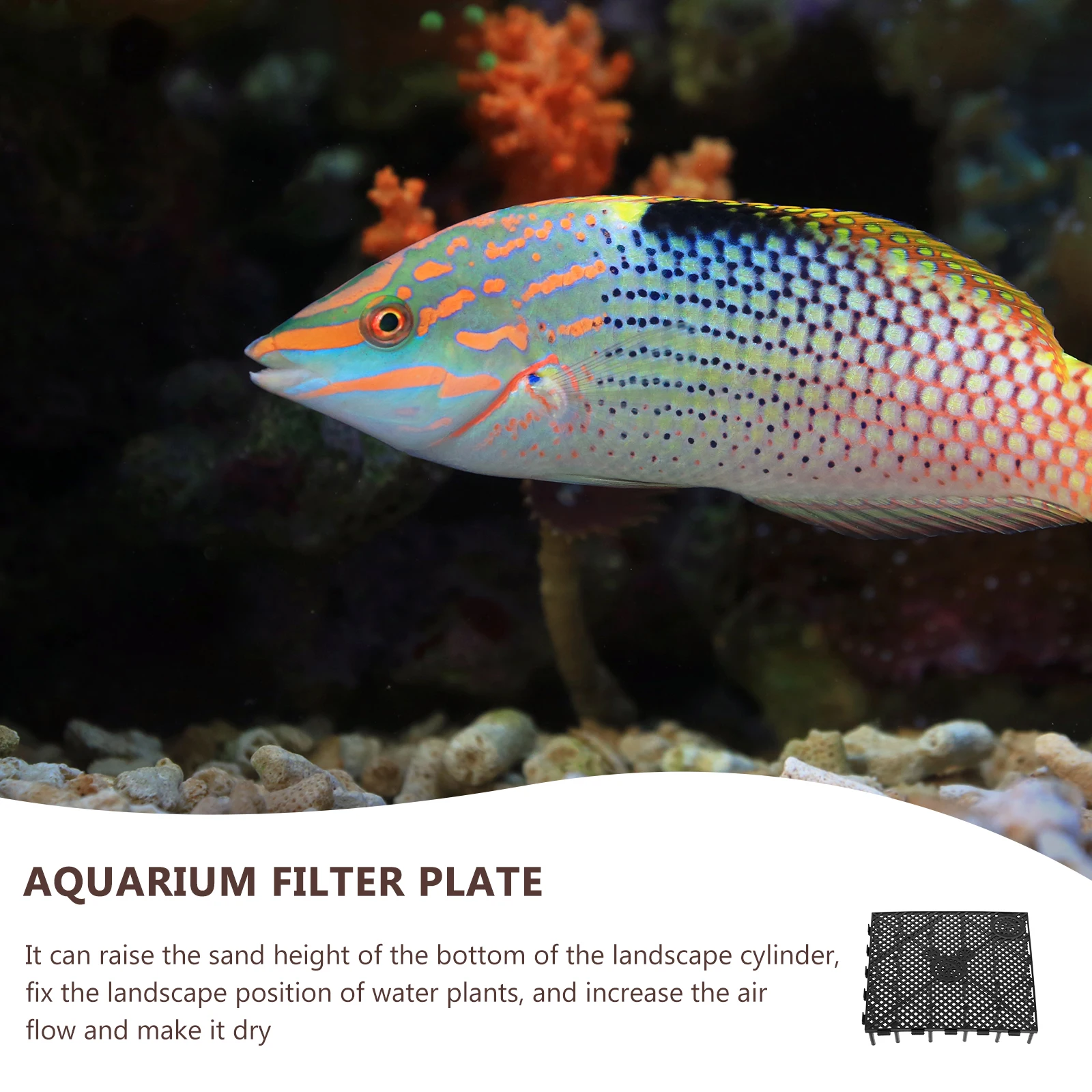 

6Pcs Aquarium Bottom Filter Plates Plastic Dividers Multi-Hole Gravel Filter Board Wear-Resistant Aquarium Tank Accessory