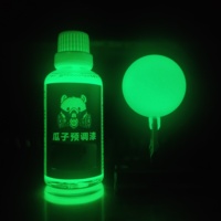 Noctilucent Color Luminous Green Paint Pigment Spray Coating Airbrush Oiliness Model Coloring Hobby Toys DIY 50ML NL.04