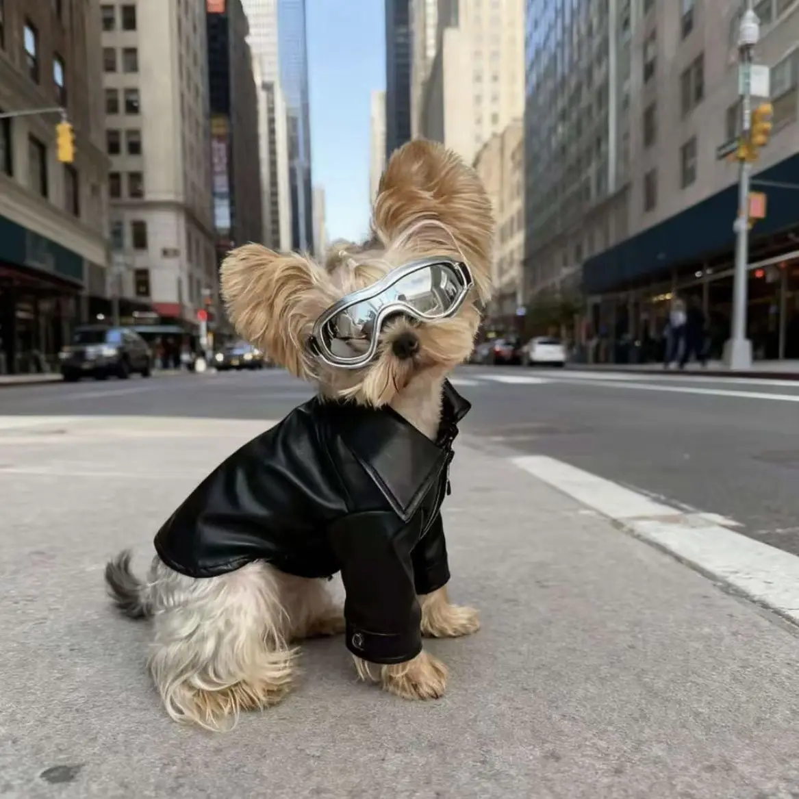 

Pet Dogs Cats Leather Jacket Coat Leather For Teddy Schnauzer Dog Warm Coat Jacket Faux Leather Fashion Pet Puppy Clothing