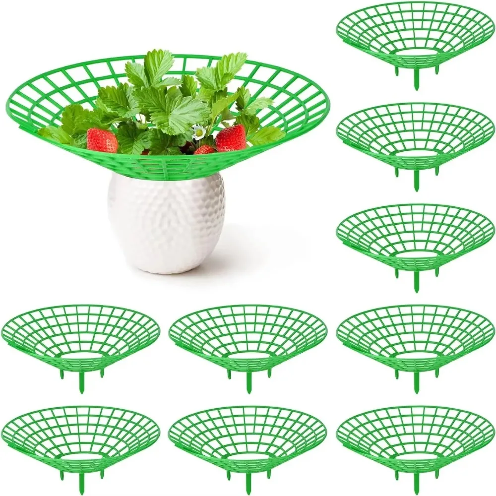 

Sturdy Legs Vegetable Growing Rack Growing Racks Protector Frame Holder Cage Strawberry Planting Tray Holder Strawberry Supports