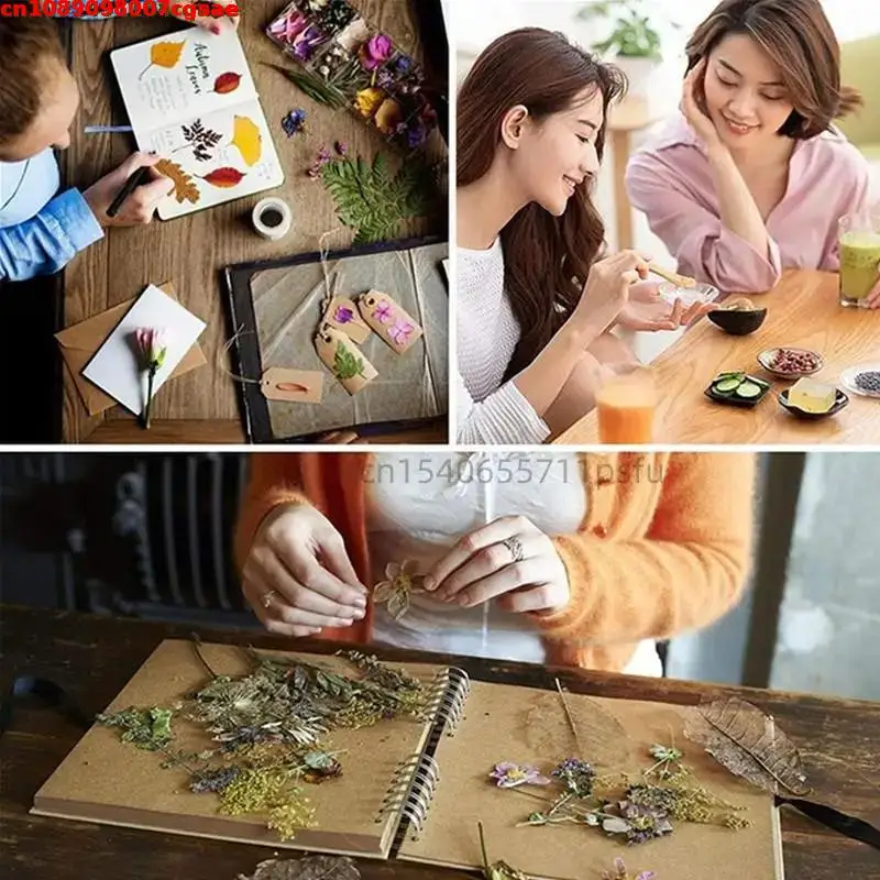 Getrocknete Stevia-Blätter, Bastelzubehör für handgemachte Seife, Kerzenherstellung, Hochzeitsdekoration, DIY-Getrocknete Blumenverzierung – Detail 8