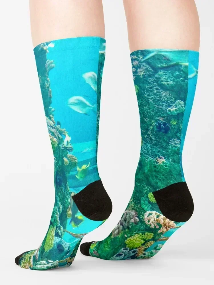 Aquarium, Reefs Socks Stockings man essential Run heated Male Socks Women's