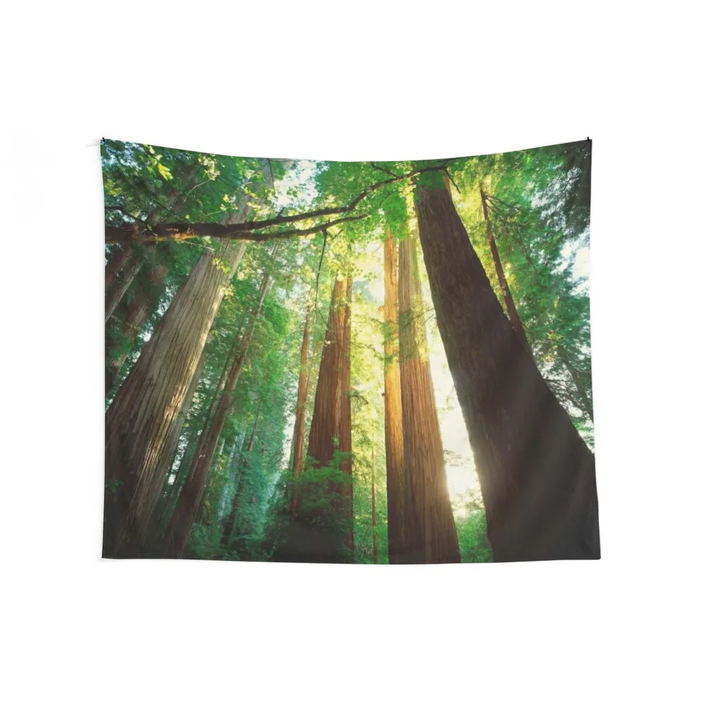 Redwoods Tapestry Japanese Room Decor Decor For Room Wall Hanging Tapestry