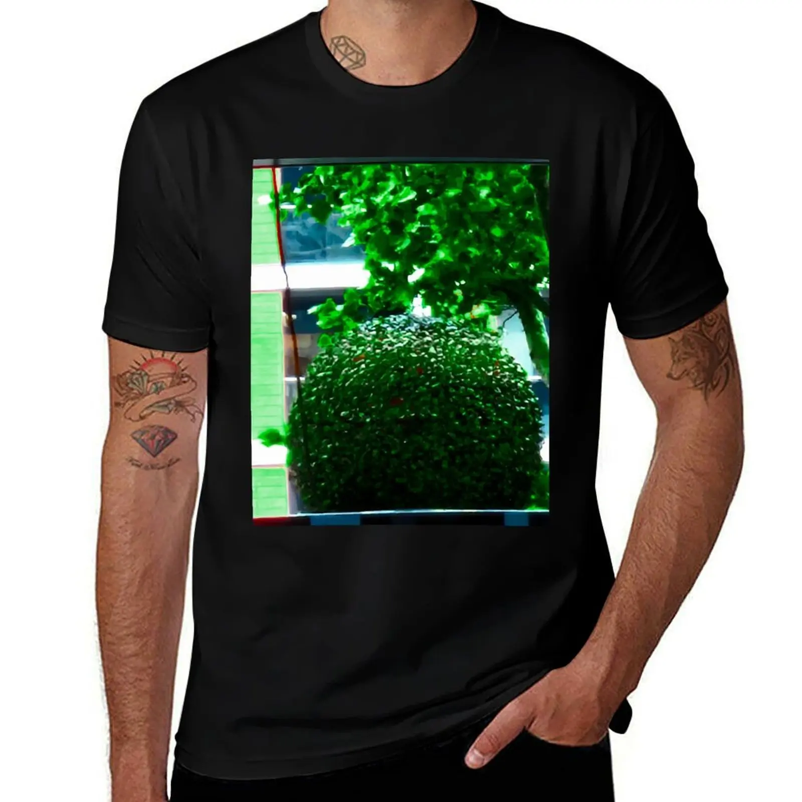 

Футболка с садоводным куполом, незаменимая футболка, по индивидуальному заказу, таможенный дизайн, футболки с заготовками для мужчин