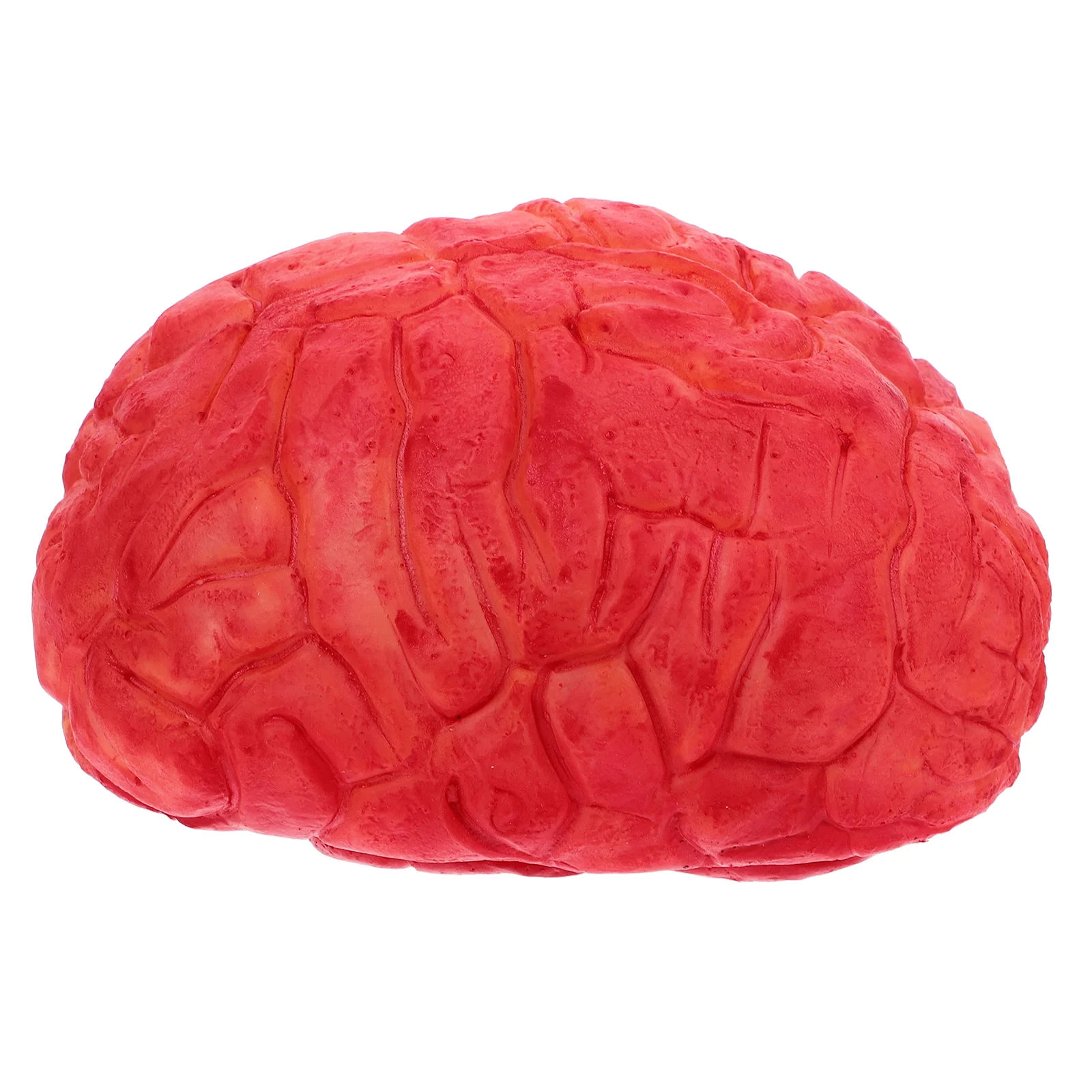 Fake Human Brains Halloween Simulation Dummy Body Parts Mini Red Props Witch Decor