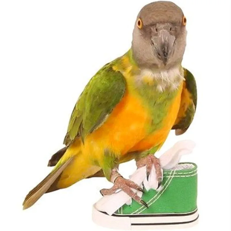 Bird Parrot Play Toys Birds Toys Mini Canvas Shoes Bite Decoration Hanging Cage Fun Craft Parrot Accessories Pet Items