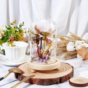 1 pcs Glass dome with glass base Cloche jar display pink plants flower display clay succulents storage home party Christmas 8 Main Sales Glass Copula - №1