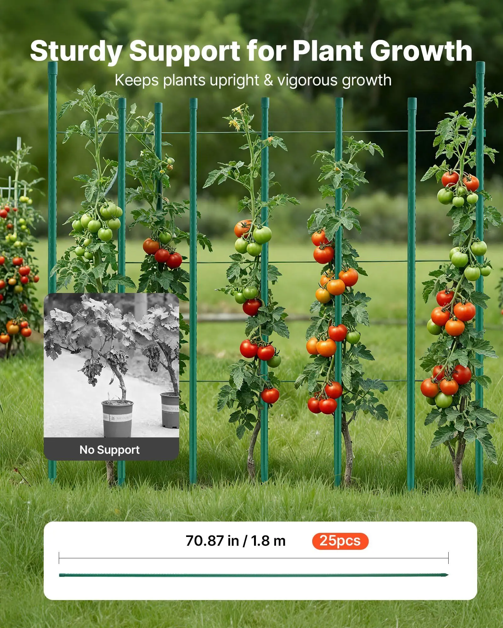 

Garden Stakes, 25 Pack, 70.87 inch, Plastic Coated Metal Tomato Stakes, Garden Sticks for Plants Support, with Pointed End and