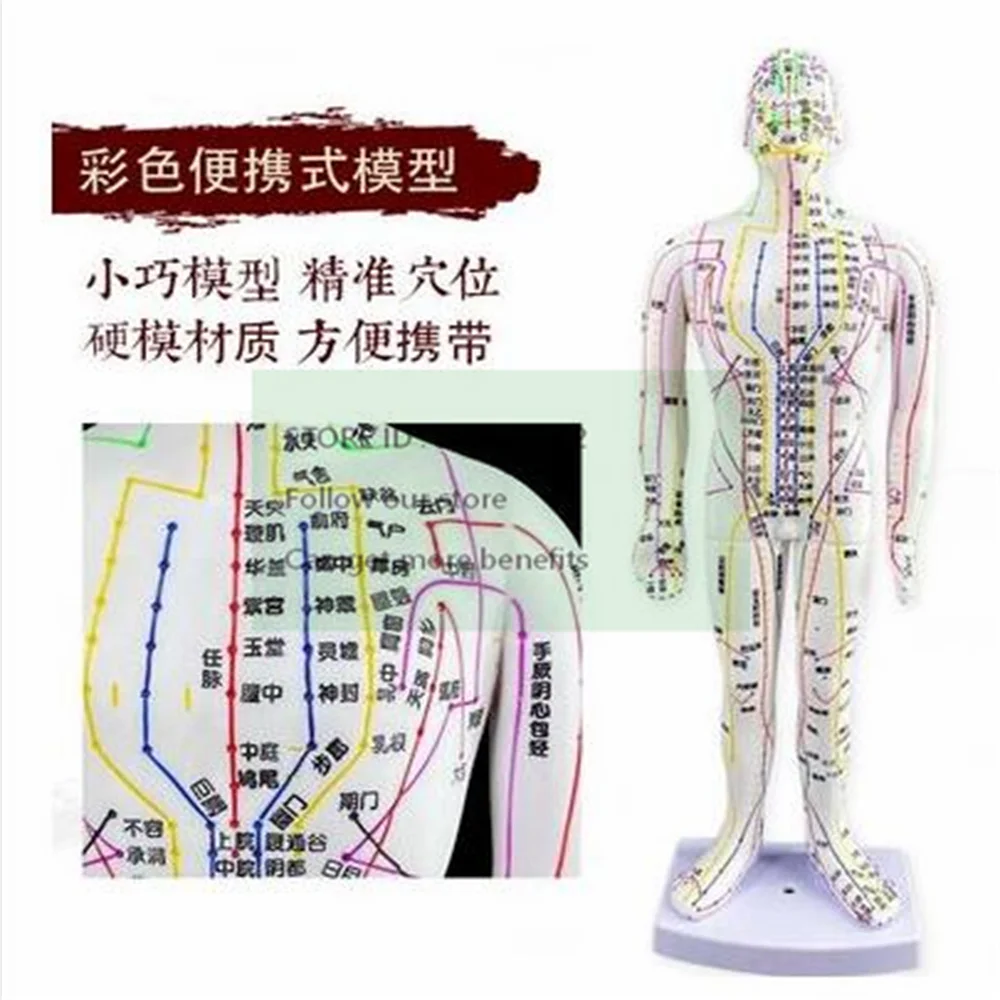 Female Lettering Point Mini Body Mannequin, Acupuncture, Medical Research, Massage, Reflex Zone Teaching Model, C518, 35cm