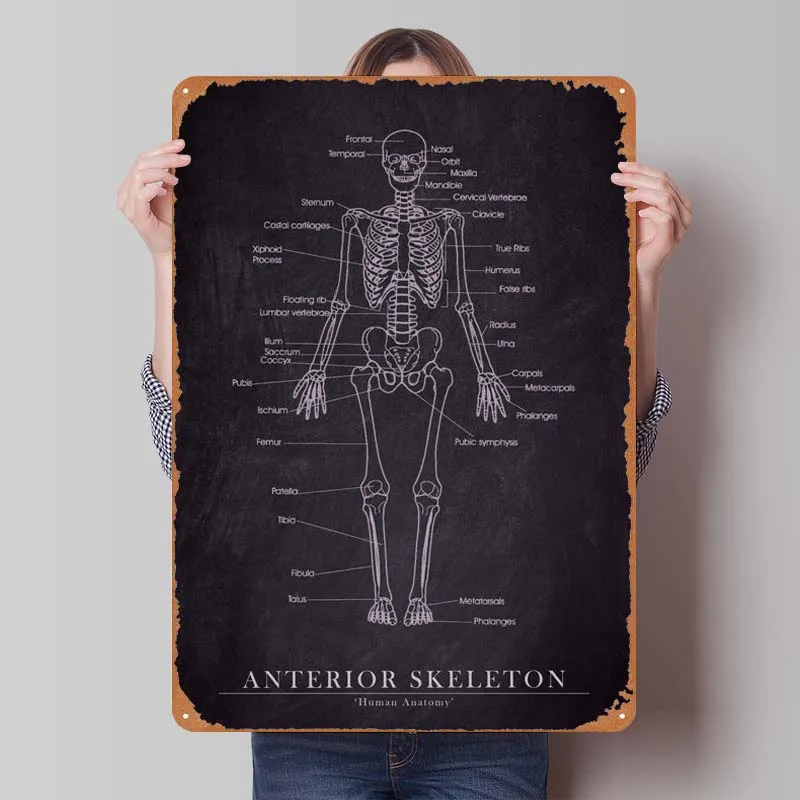 Anterior Skeleton Blueprint Poster Man Cave Vintage Metal Tin Sign for Game Room Garage Wall Decoration Dekoration Art of Murals