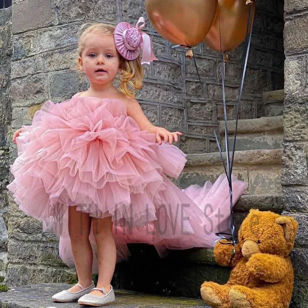 

Flower Baby Girl Dress Skirts Little Girl Princess Wedding Birthday Party First Communion Pink Puffy Tutu Tiered Holiday Gown