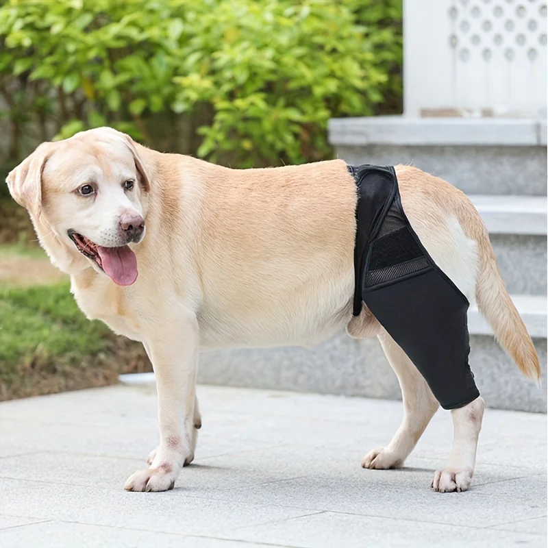 Adjustable Dog Leg Brace For Front & Rear Support - Breathable, Extra Thigh Protection