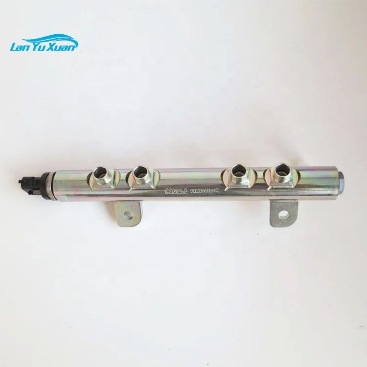 

0445224013 Machinery Engine Fuel Common Rail 5259689 Foton Truck ISF2.8 Engine Fuel Manifold 4944990