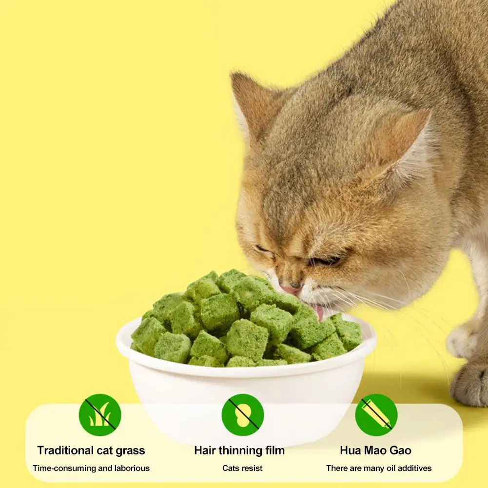 500g Cat Snacks Freeze Dried Grain Freezedried Granules Cat Grass Teeth Grinding Stick Cat Grass Granules Cat Snack