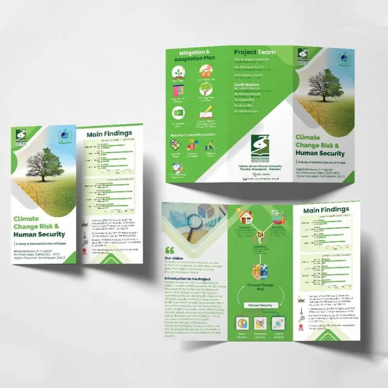 

custom.Custom Printed A6 Leaflet Booklet Glossy Cardboard Flyers A4 A5 Brochure Pamphlets Business Advertising Flyer Printing Se