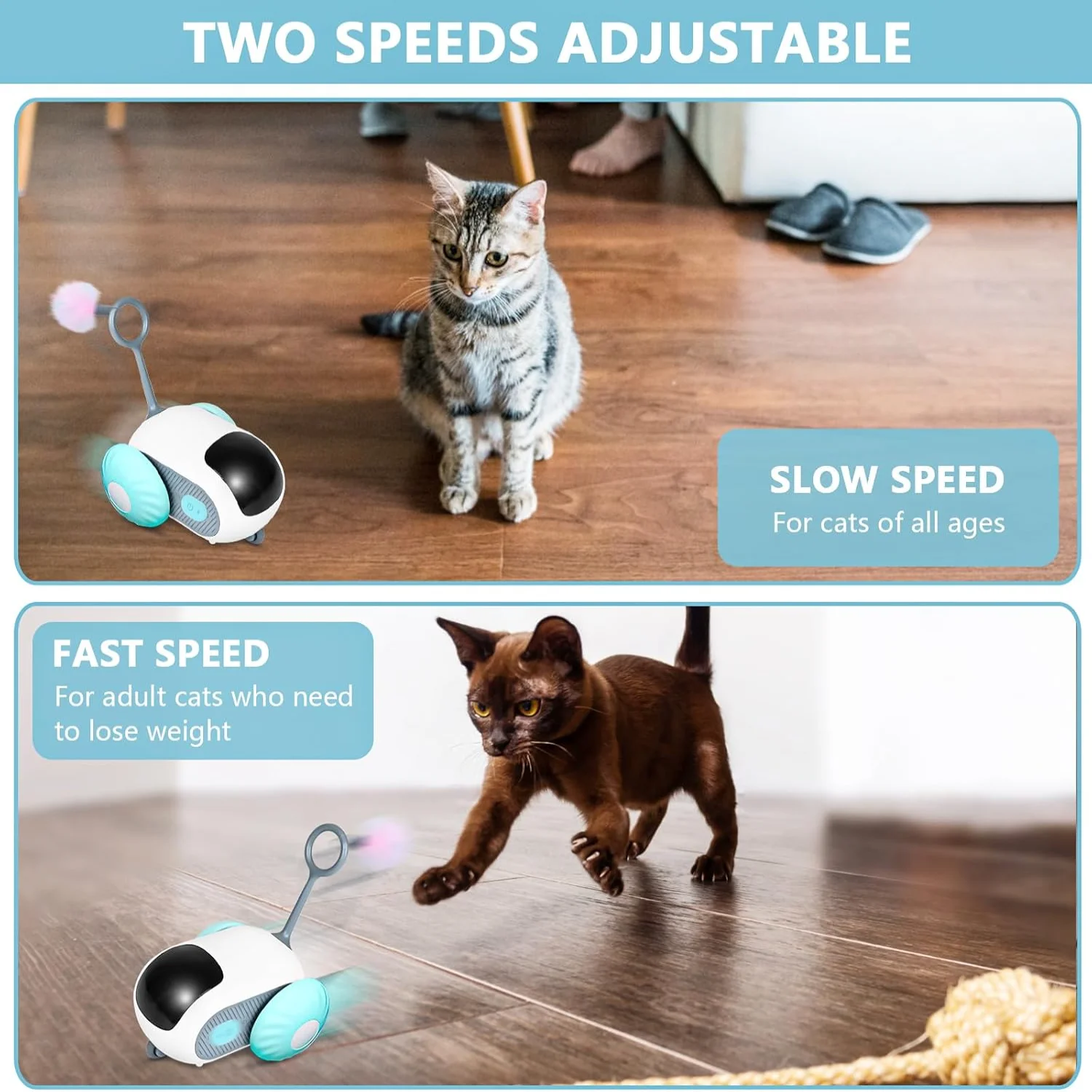 

Remote Control Smart Toy Car, Interactive Toys for Indoor Cats, Teazys Toy Turbo Tail 2.0, Automatic Moving Mouse Chase Toy