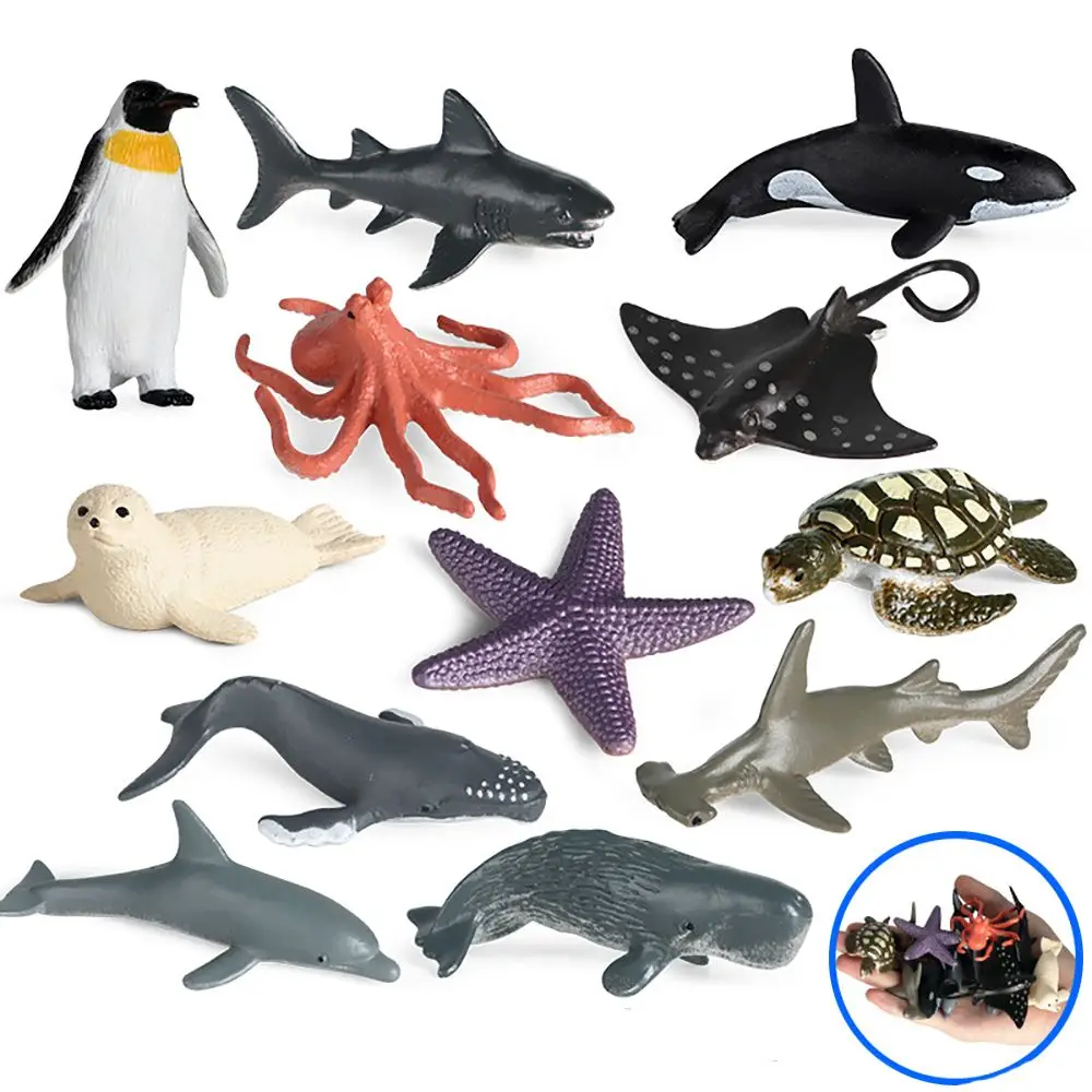 Figurka Rekin Wieloryb Wczesna Edukacja Stworzenia Oceaniczne Żółw Krab Rozgwiazda Delfin Ośmiornica Pingwin Model Organizmu Morskiego