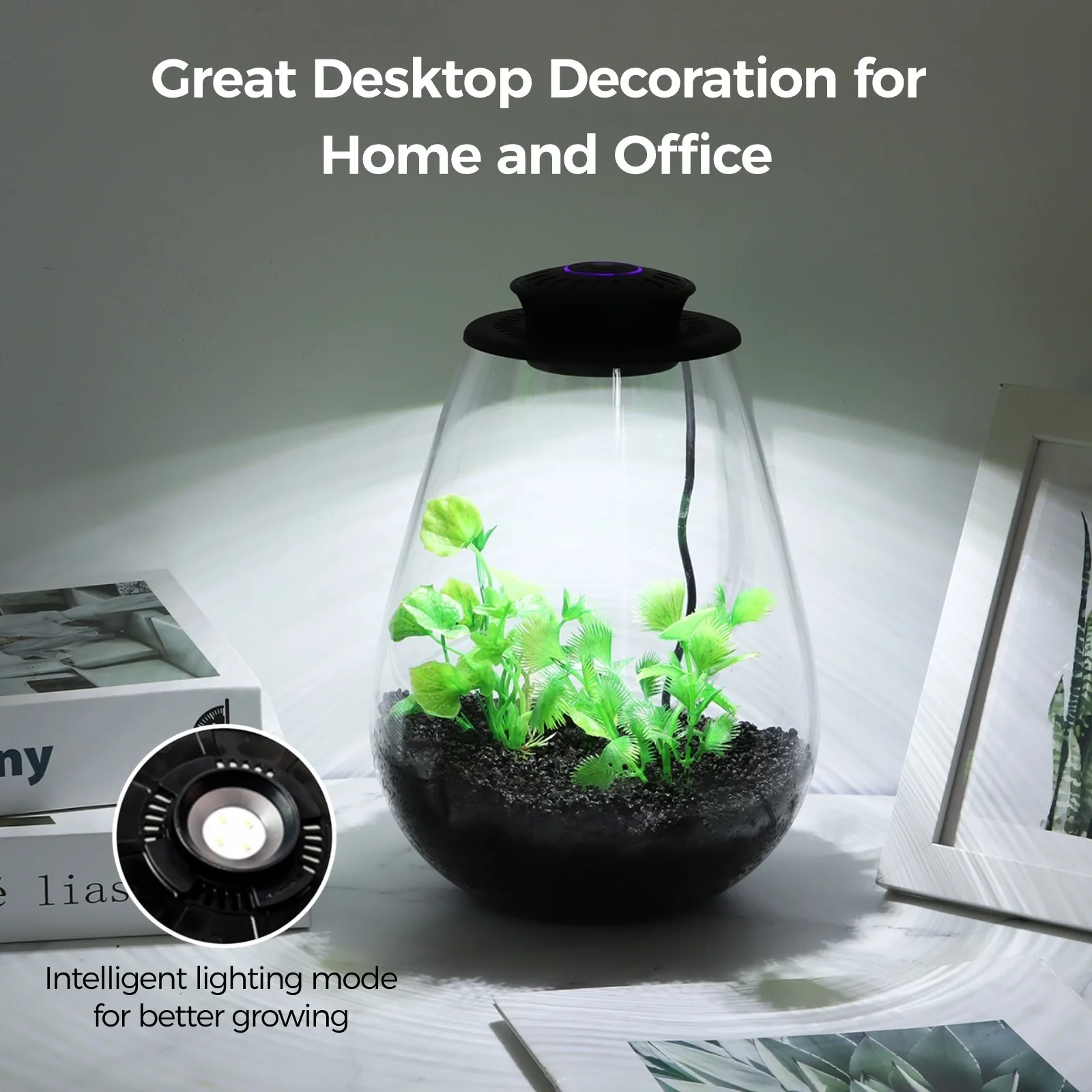 Desktop Glass Plant Terrarium Grow Light Planter For Succulent Moss Miniature Gardening Landscape Betta Fish Tank Plant Growth