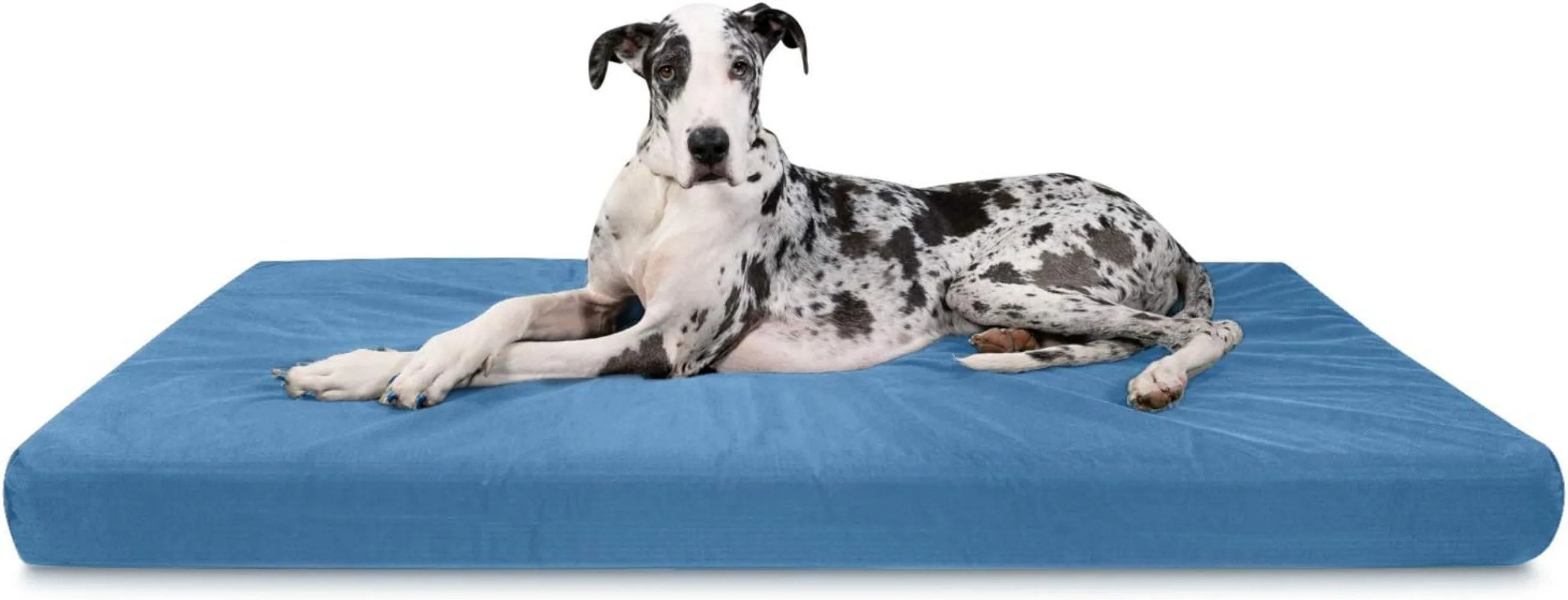 Tough Rip Stop Orthopedic Rectangle Dog Bed Removable Washable Cover Solid Orthopedic Foam for XX Large Dogs 68