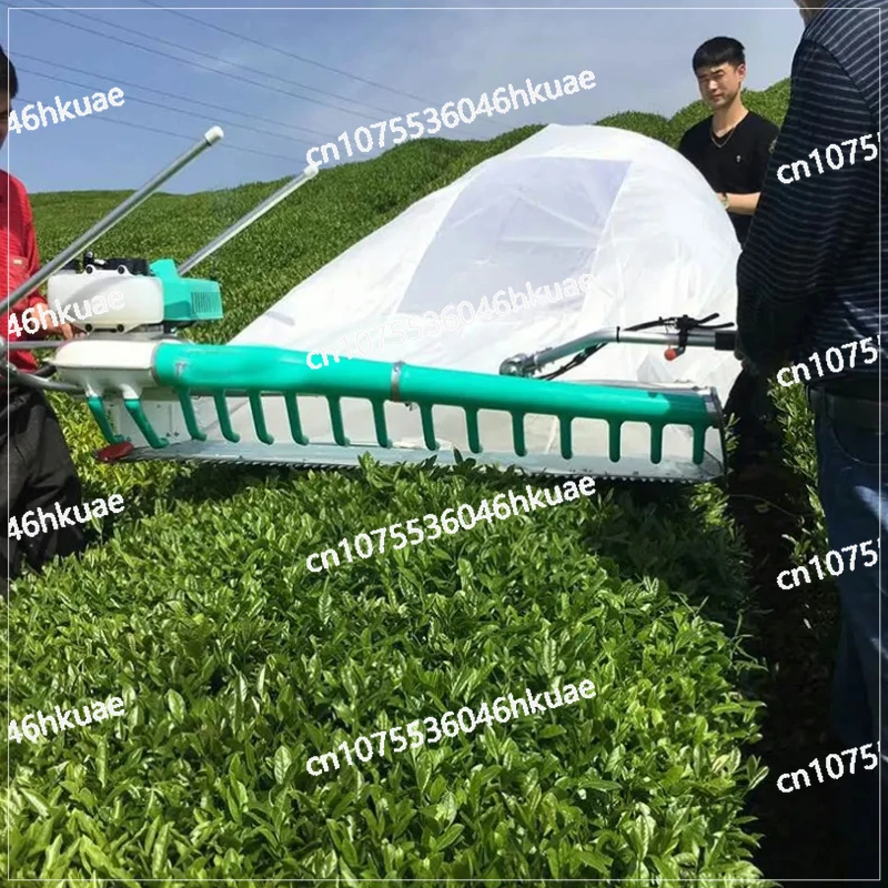 

Factory Direct Portable Tea Cutting Machine: Outdoor-Ready Low-Damage Tea Leaf Picking Harvester