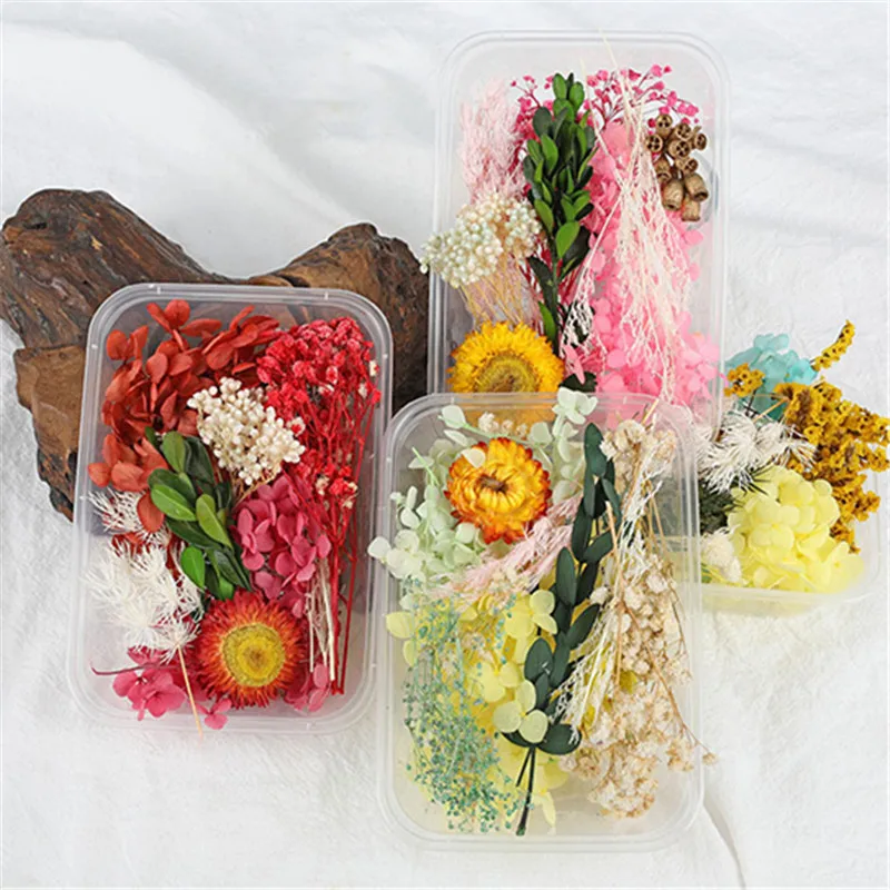 

Natural Mixed Dried Flowers Box DIY Photo Frame Fleurs Sechees Material Bag Epoxy Resin Flower Decoration Wedding Accessories