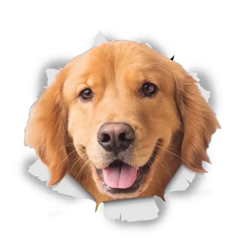 

HAPPY GOLDEN RETRIEVER Self-adhesive Decal Car Sticker Waterproof Auto Decors on Bumper Rear Window Laptop