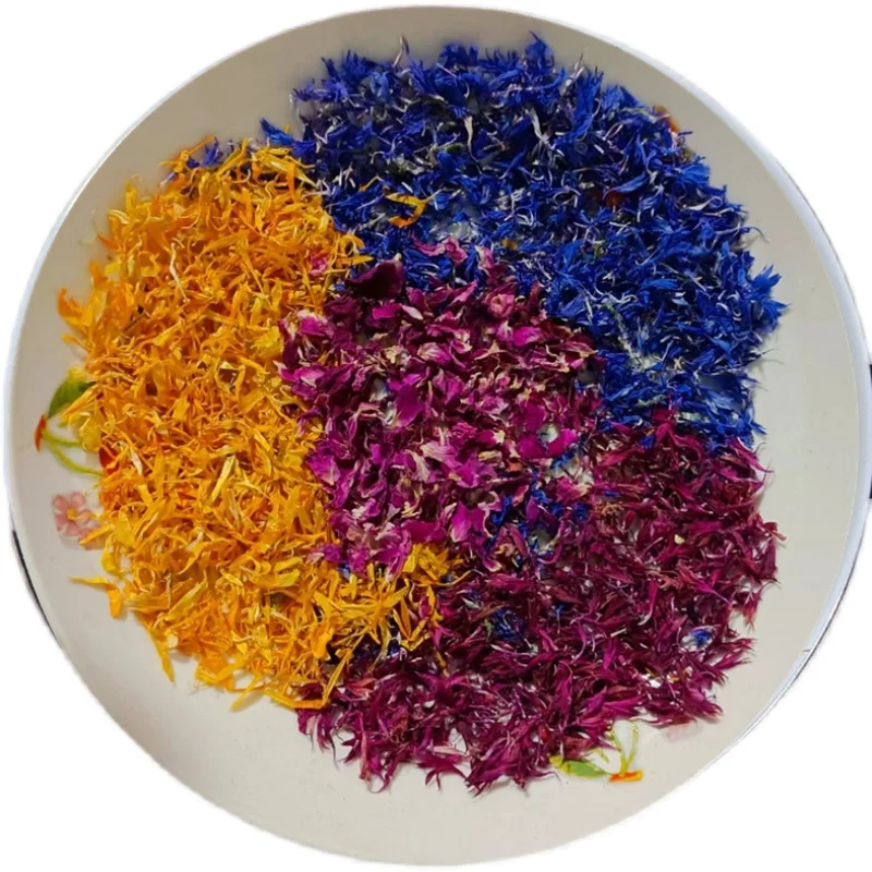 زهرة الأقحوان المزدوجة اللون مصنوعة يدويًا، بتلات بنفسجية مختلطة، زهرة زينة عطرية للديكور المنزلي، غير صالحة للأكل، زهرة مجففة