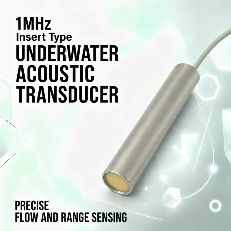 Industrial Insert Type Underwater Acoustic Transducer for Flow Measurement and Underwater Ranging