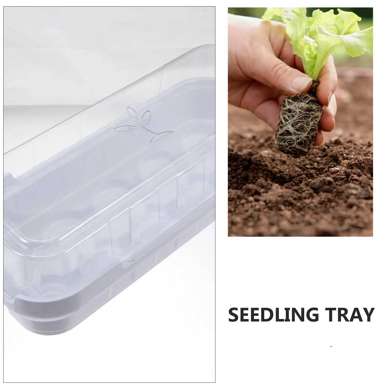 

5 Pcs Seedling Box Efficient Tray Sprouter Nursery Pot Tomato Crop Plastic Starter Healthy Growth