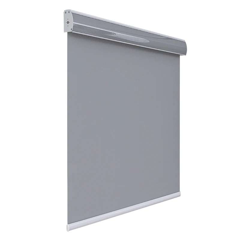 

Smart Window Roller Blind for Home, Wireless Electric Window Shades, WiFi Connection, Google Alexa Motorized Roller Blinds