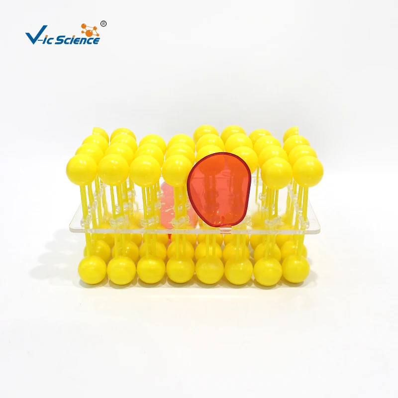 Modello di flusso della membrana cellulare