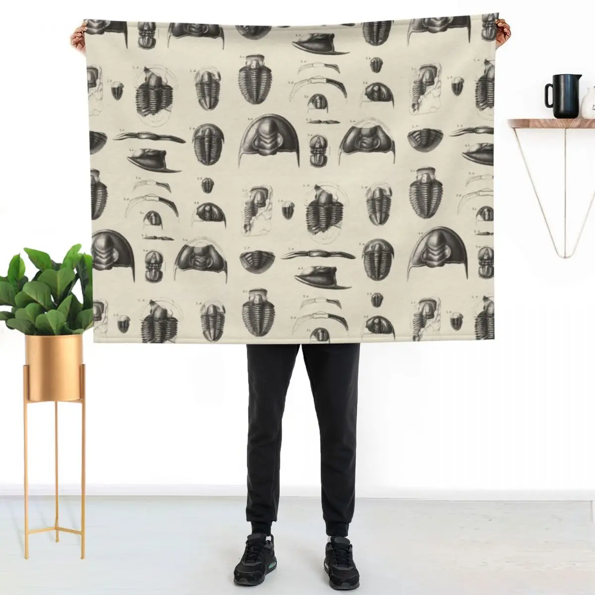 1877 Vintage Etchings of Fossils, Trilobites. II. Primordial period. Throw Blanket Sofa Soft Plush Plaid anime Stuffeds Blankets
