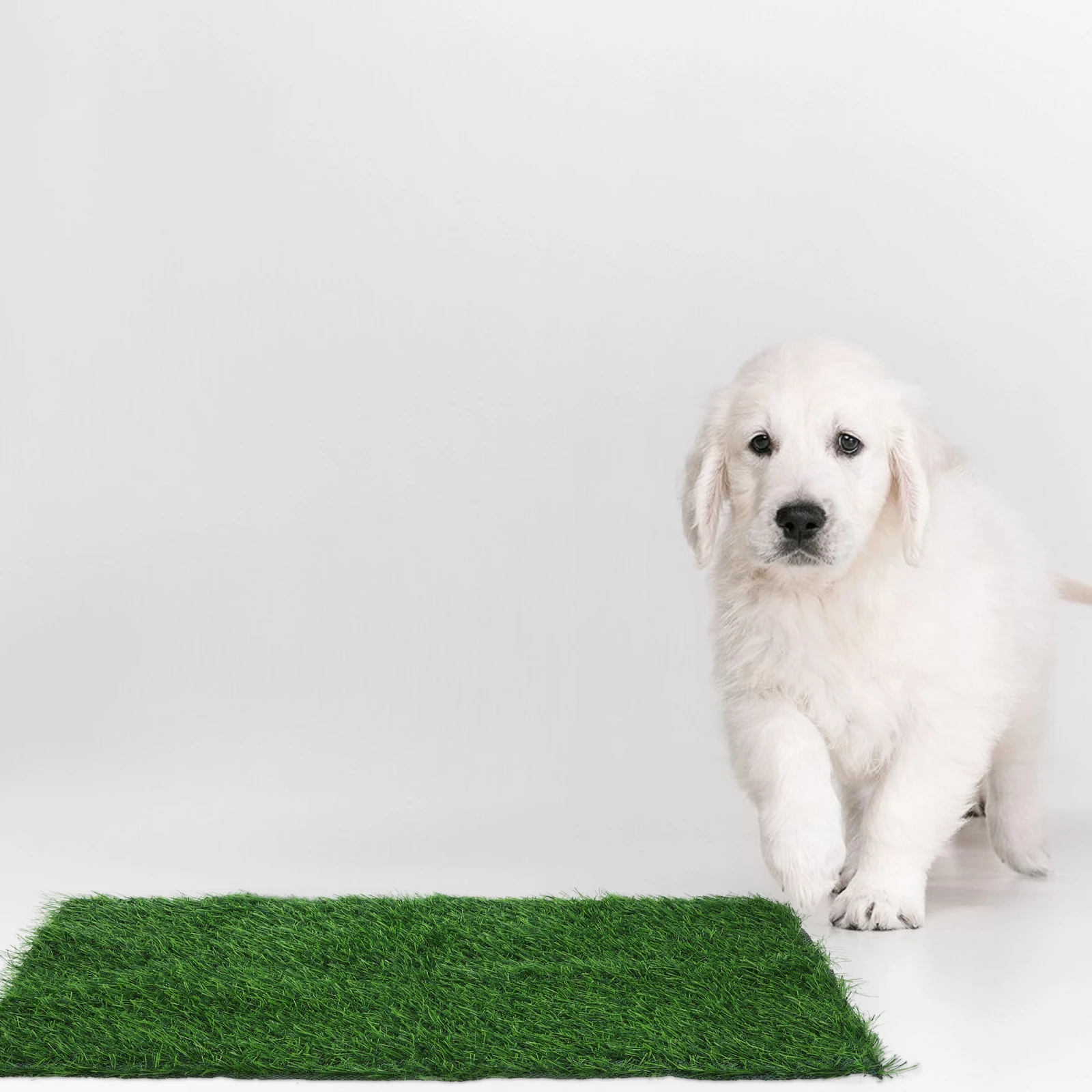 

Dog Indoor Pee Pad Washable Reusable Artificial Grass for Puppies Easy to Anywhere Artificial Fake Grass Pee Pad