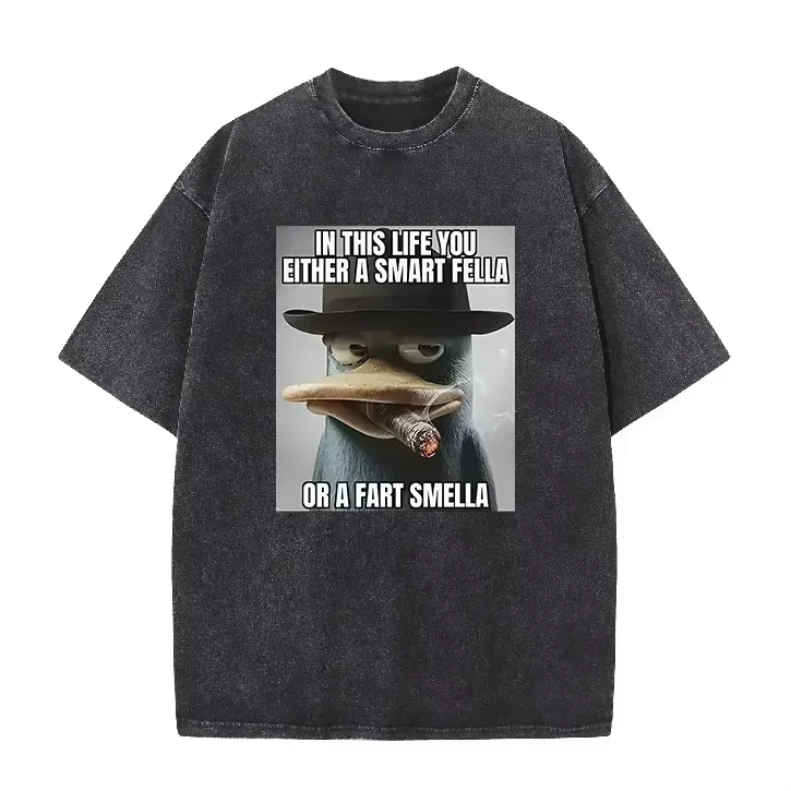 Retro Acid Wash Oversized T-shirt Funny Perry Platypus Meme Cartoon Print Casual Men Women Streetwear Tops