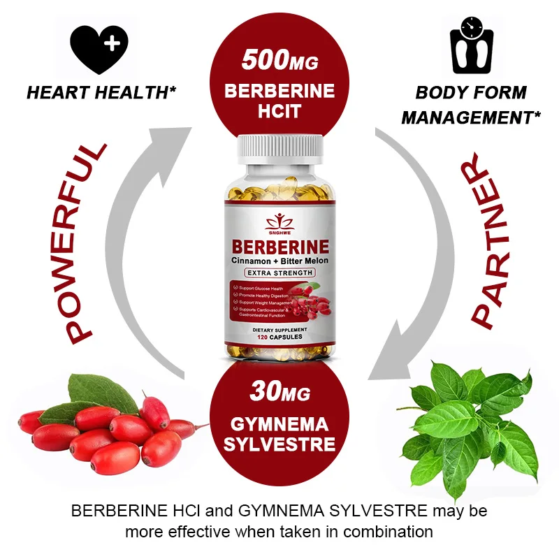 Berberine avec capsule de enna de Ceylan, anti-continuité, système immunitaire, cardiovasculaire, fonction intestinale condamnée, alimentation saine