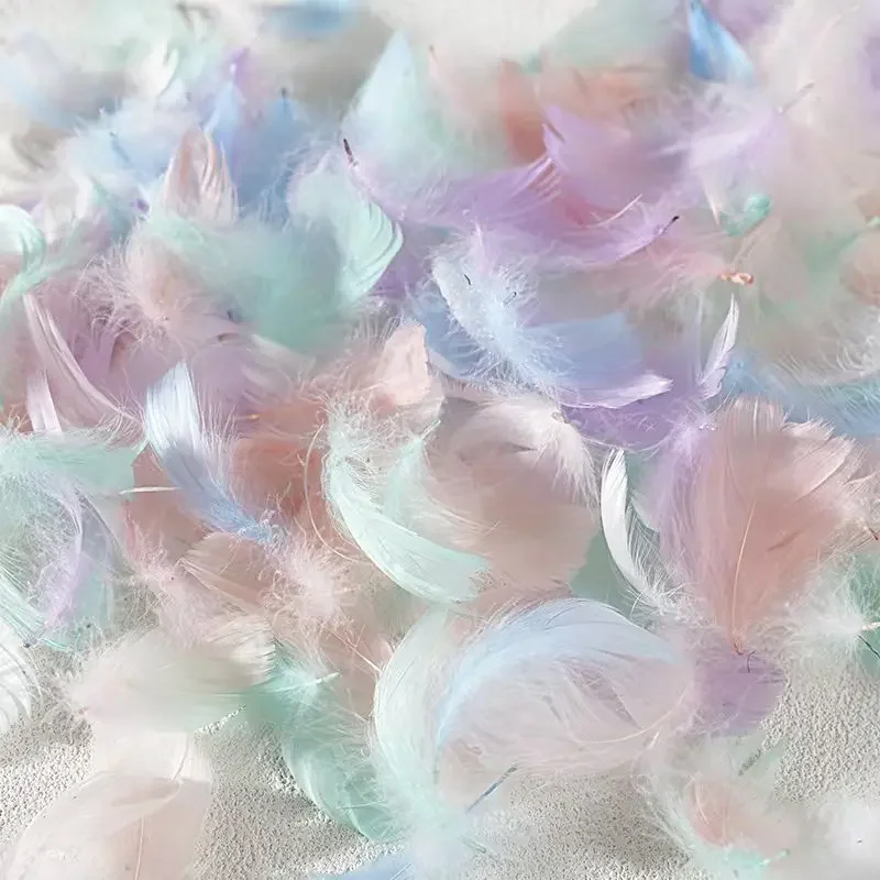 

100PCS Colorful Goose Feathers 4-8cm Small Soft Feather for Wedding Decoration Stage Festival Gift Box Dream Catcher DIY Crafts