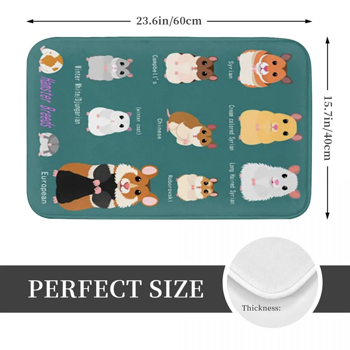 Hamster Breeds Syrian Hamster Anti-slip Doormat Floor Mat Antiwear Carpet Rug for Kitchen Entrance Home Living room Footpad Mats